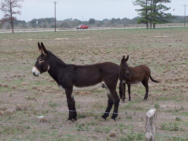 Kings-Kowboys-Monaville-11-19-2011-021.JPG