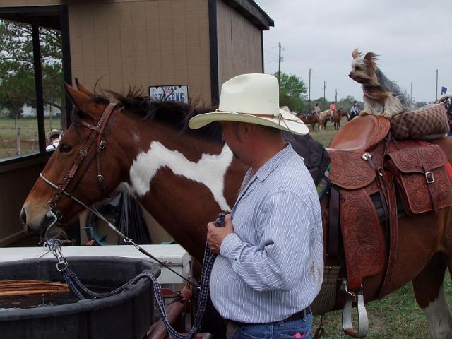 Kings-Kowboys-Monaville-11-19-2011-035.JPG