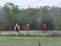 Kings-Kowboys-Monaville-11-19-2011-032