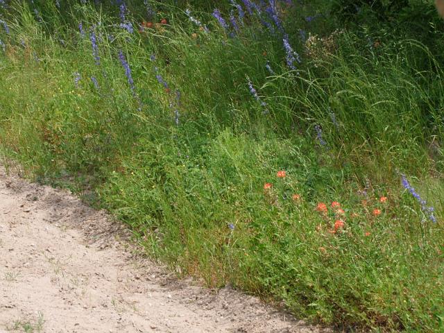 054.jpg