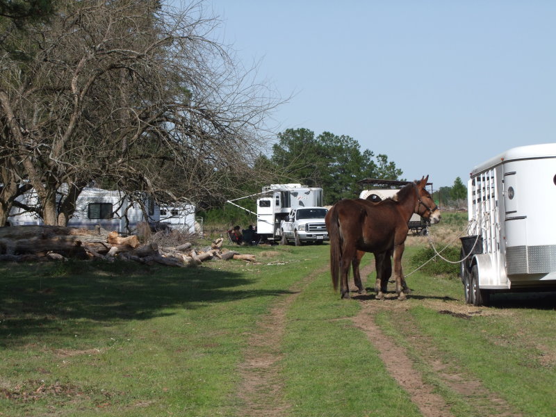 004-Campground.jpg