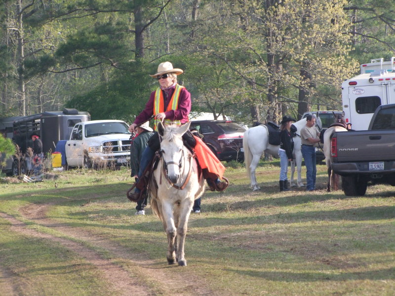 025-Judy.jpg