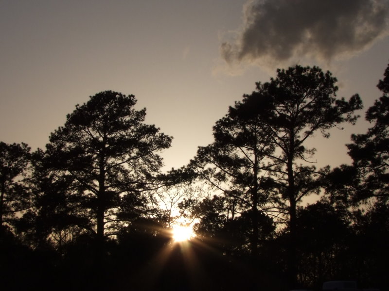 102-Sunset.jpg