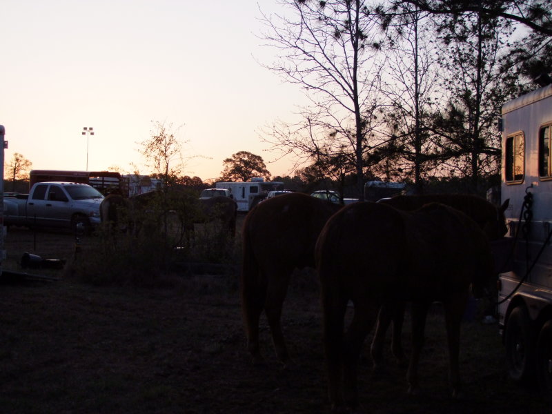 109-Sunrise.jpg