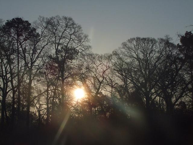149-Morning.jpg