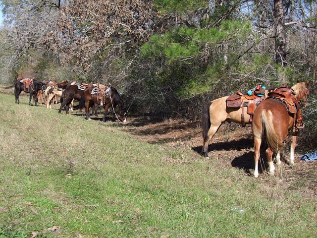 MCTRA-Warm-Up-Ride-1-14-2012-040.JPG