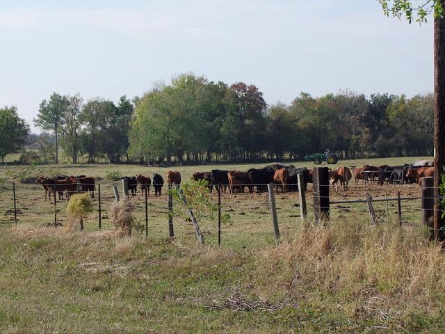 Monaville-Ride-11-2010-012.JPG