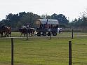 Monaville-Ride-11-2010-020