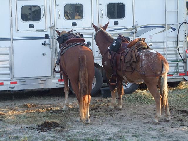 Stampede-Ride-10-22-2011-015.JPG