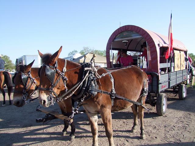 Stampede-Ride-10-22-2011-024.JPG