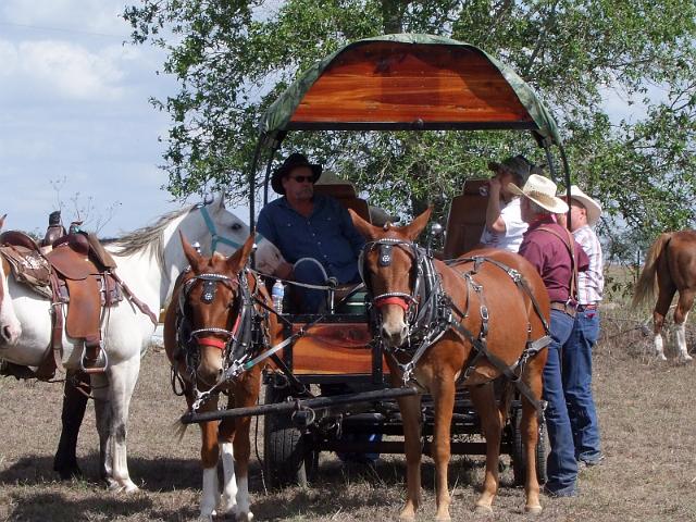 Stampede-Ride-10-22-2011-070.JPG