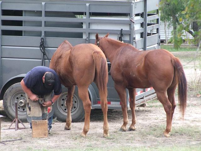 Stampede-Ride-10-22-2011-107.JPG