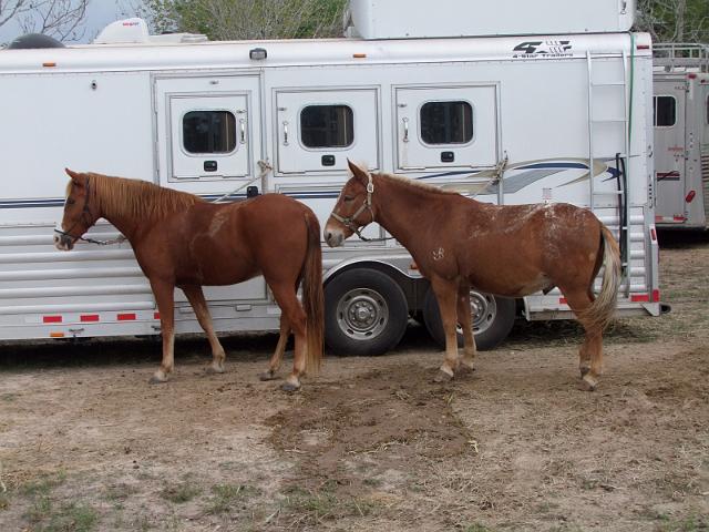 Stampede-Ride-10-22-2011-111.JPG