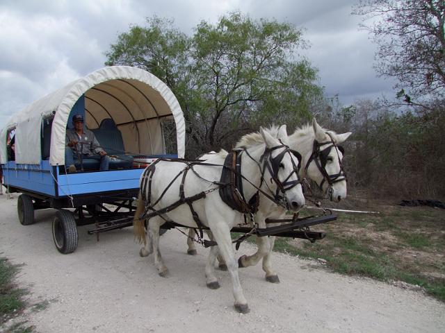 Stampede-Ride-10-22-2011-115.JPG