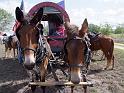 Stampede-Ride-10-22-2011-056